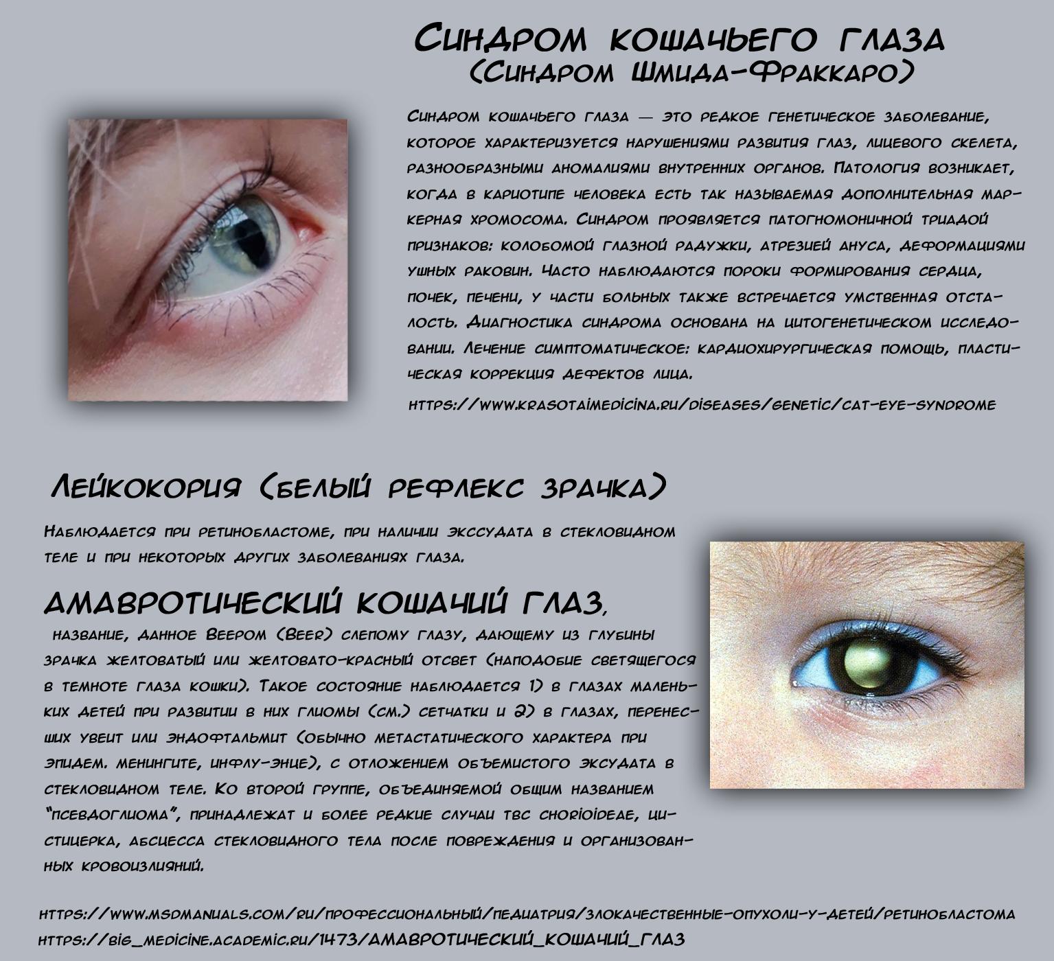 Страница 42