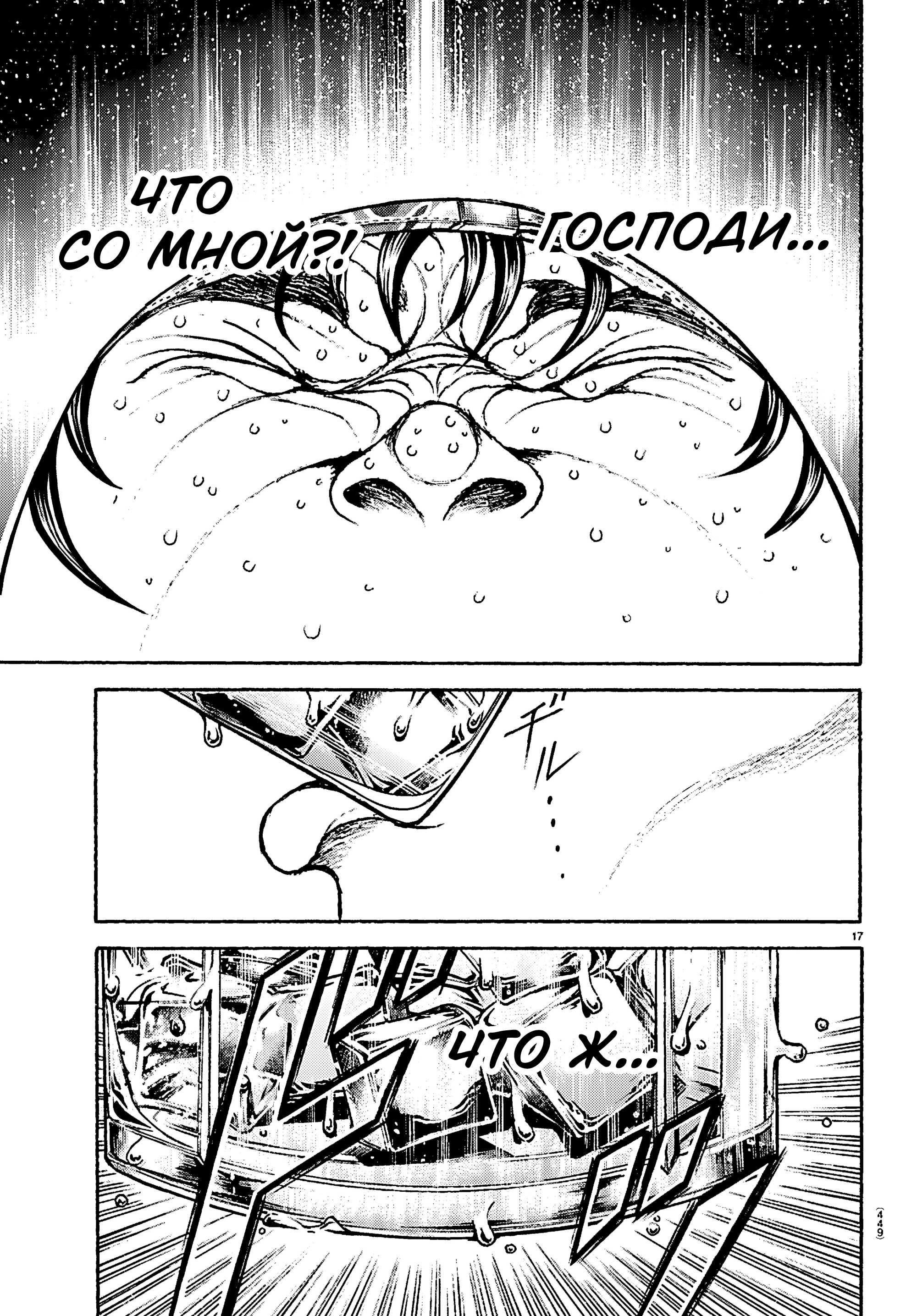 Страница 17