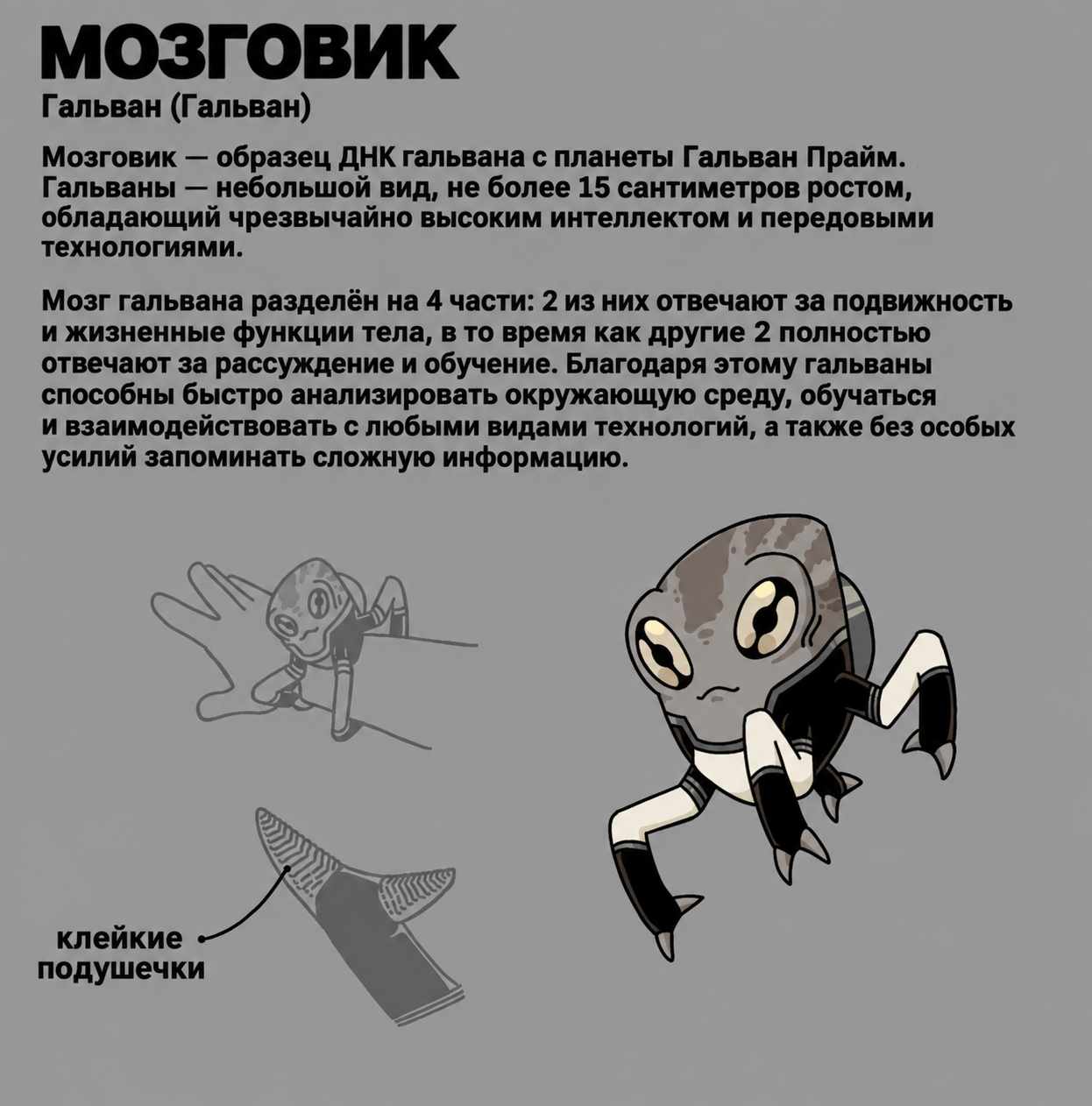 Страница 10