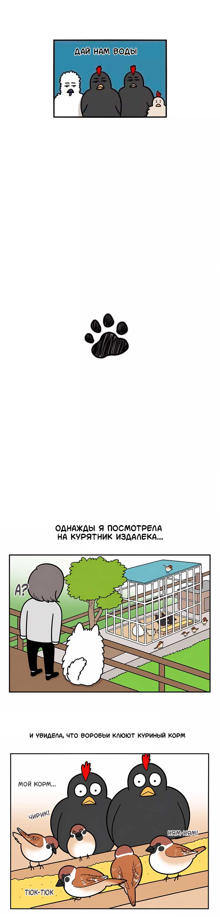 Страница 11