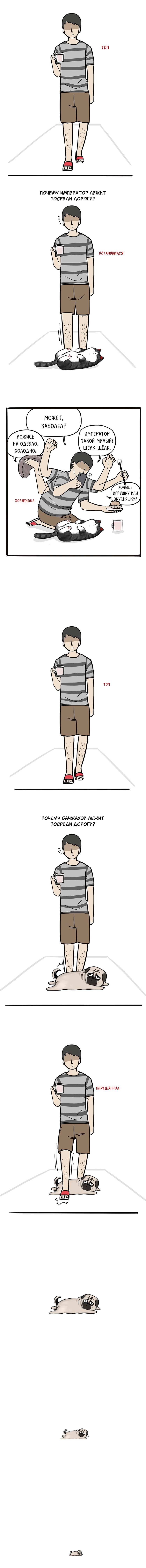 Страница 2