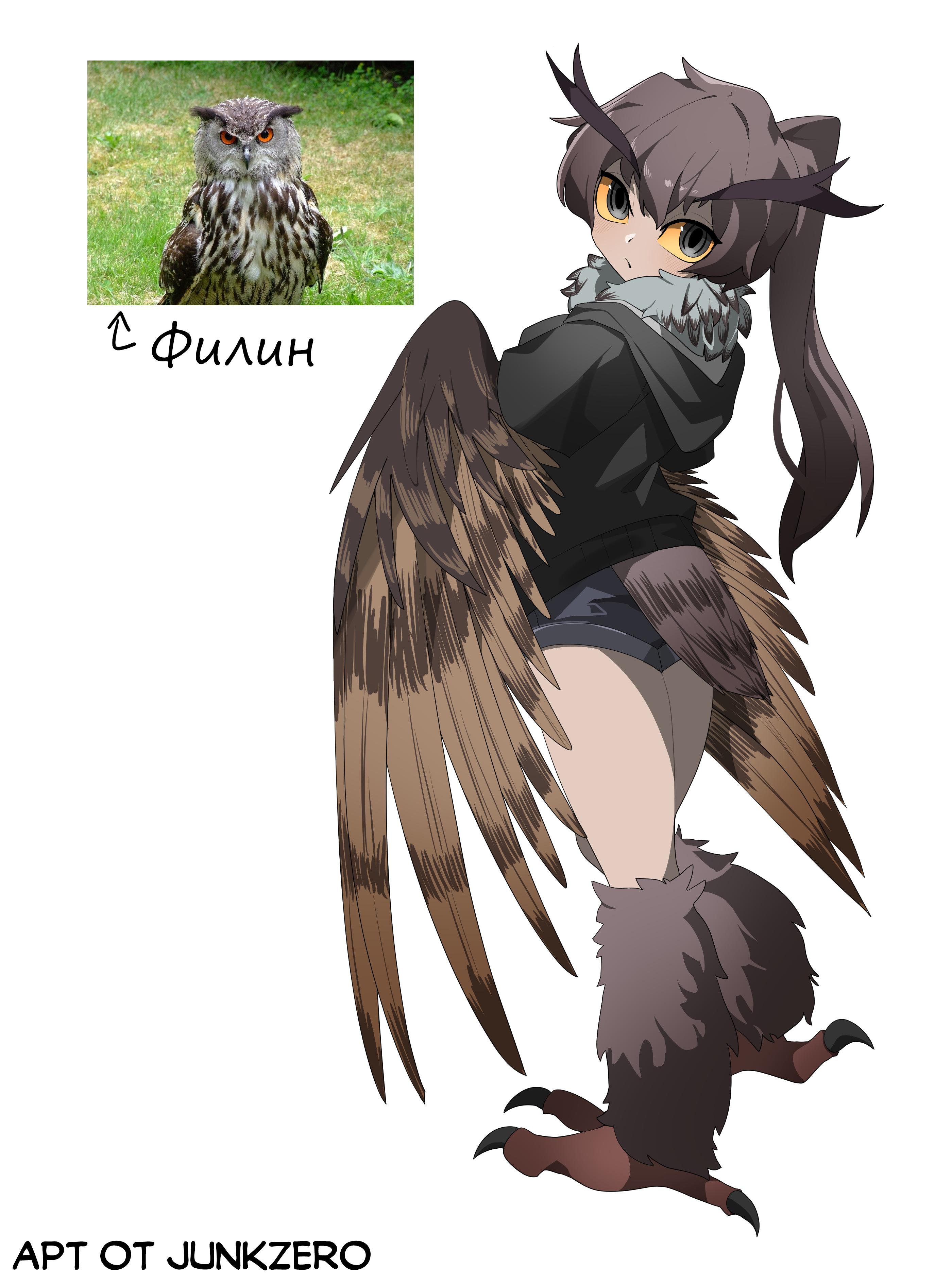 Страница 6